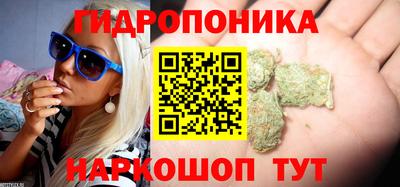 spice Канаш