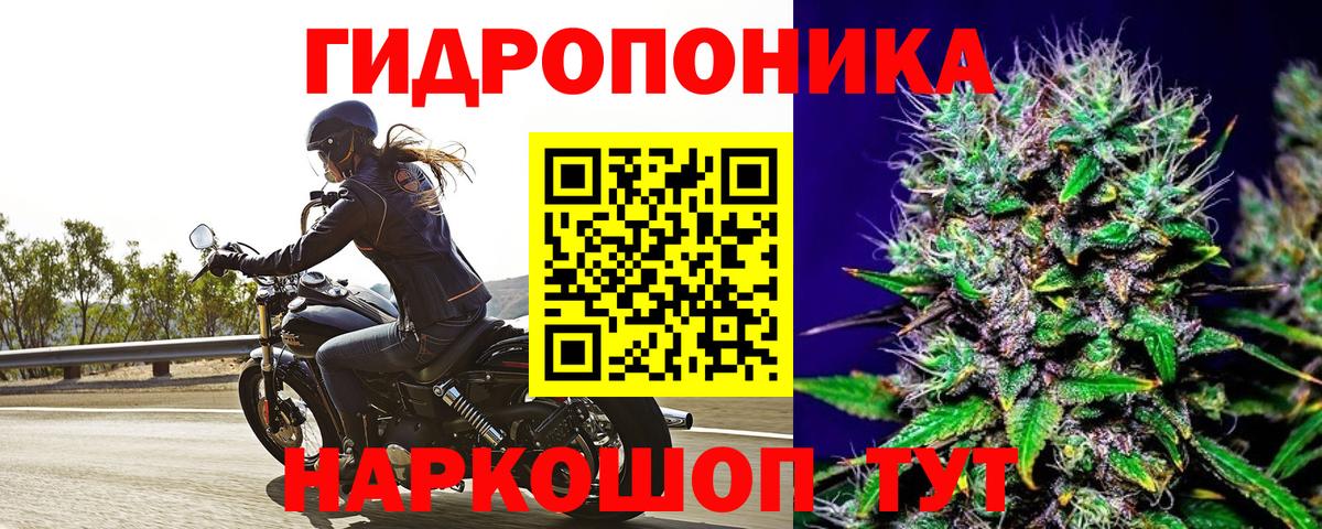 Бошки Шишки LSD WEED  Бошки Шишки Bruce Banner  Вход с VPN  Лабинск  Бошки Шишки планчик 